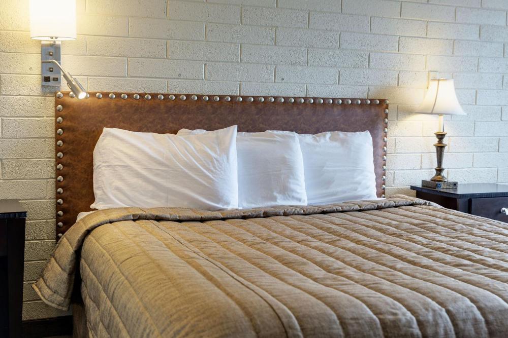 Standard Single Room interior